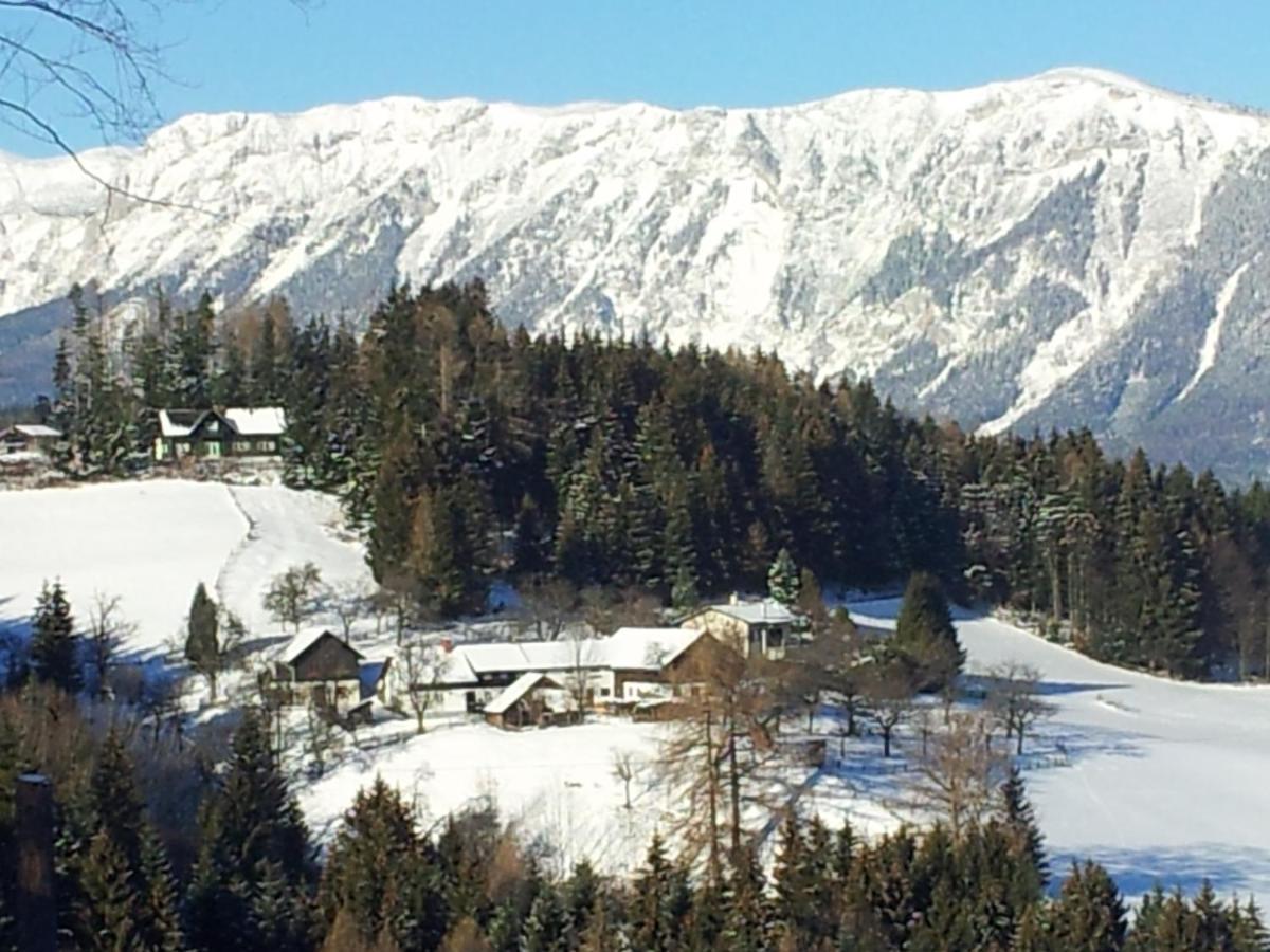 Ferienwohnung Holzer Payerbach Esterno foto