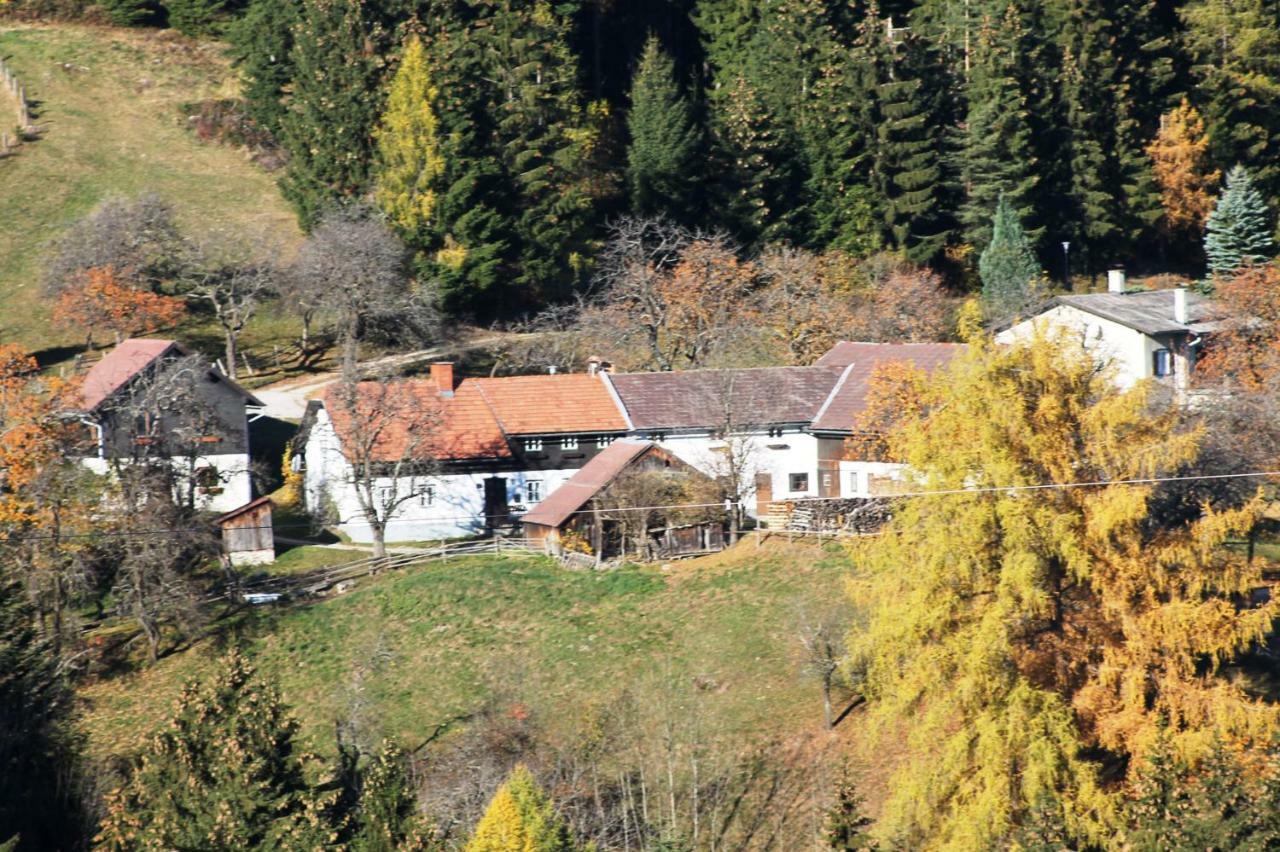 Ferienwohnung Holzer Payerbach Esterno foto