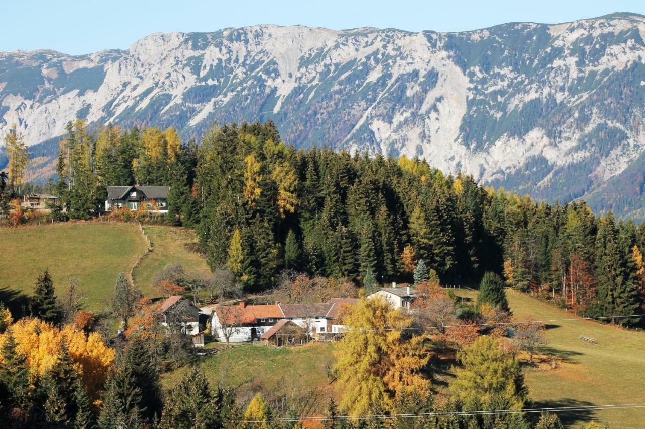 Ferienwohnung Holzer Payerbach Esterno foto